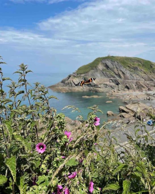Paramount Apartments Ilfracombe, Arty Seaside Holiday Apartments Extérieur photo